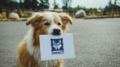 dropped call loyalty impact