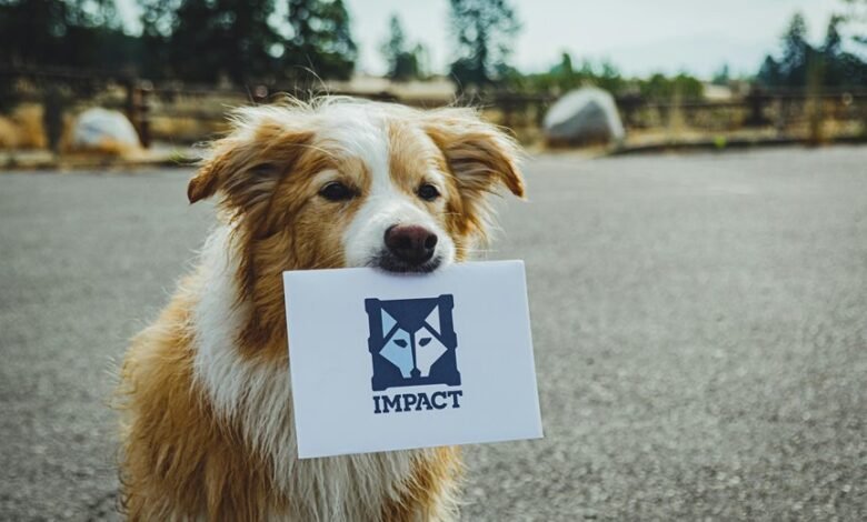 dropped call loyalty impact