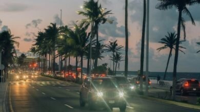 holiday call traffic analysis