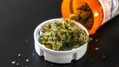 fraud call regulation alerts