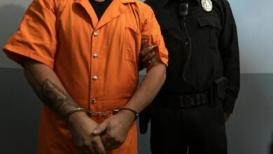 fraud investigation defense team