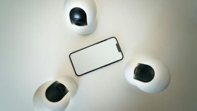 fraud monitoring and oversight