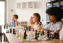 intelligence oversight council activities