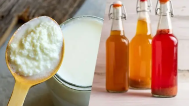 Fermented Drinks Showdown: Kombucha or Kefir for a Healthier Gut?