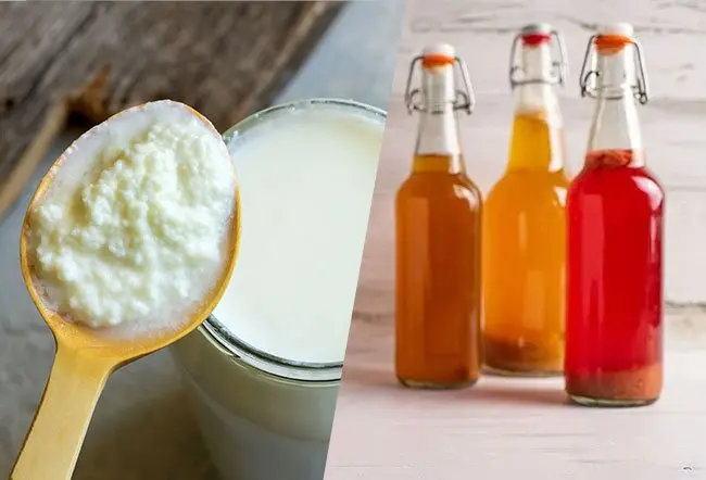 Fermented Drinks Showdown: Kombucha or Kefir for a Healthier Gut?