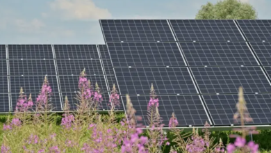 Cairns Solar: Harnessing the Power of the Sun