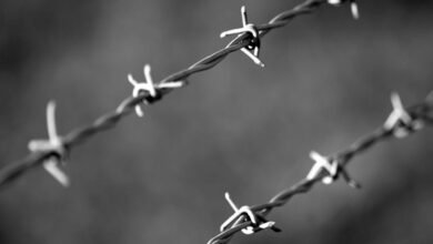 telecom security division numbers