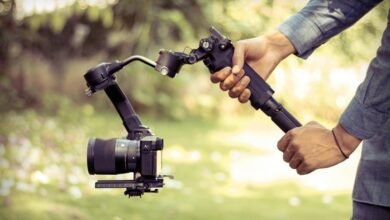 framework for professional stability