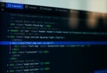 professional web framework online