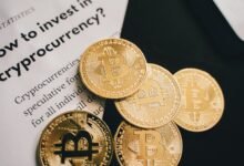 smart guide for growth