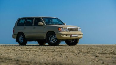 stable online infrastructure services